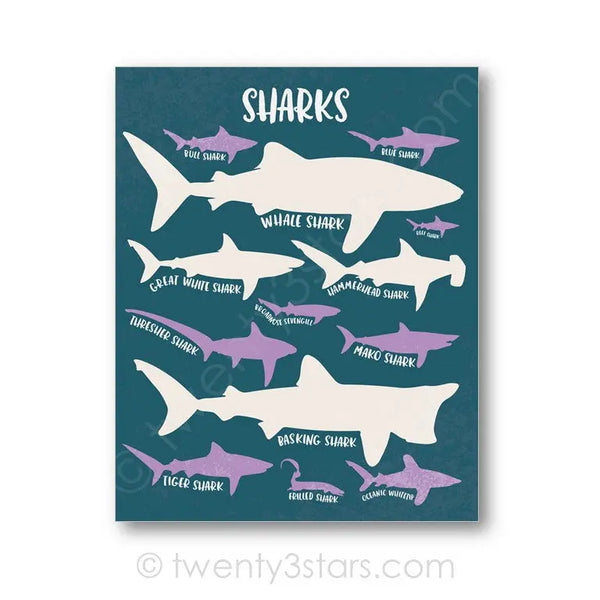 Sharks Kinds Wall Art - twenty3stars
